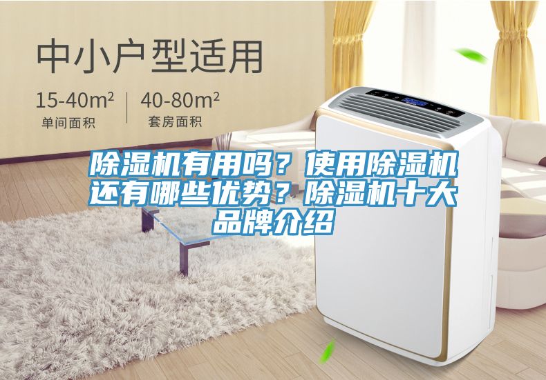 除濕機有用嗎？使用除濕機還有哪些優(yōu)勢？除濕機十大品牌介紹