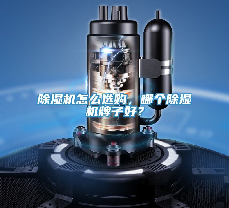 除濕機怎么選購，哪個(gè)除濕機牌子好？