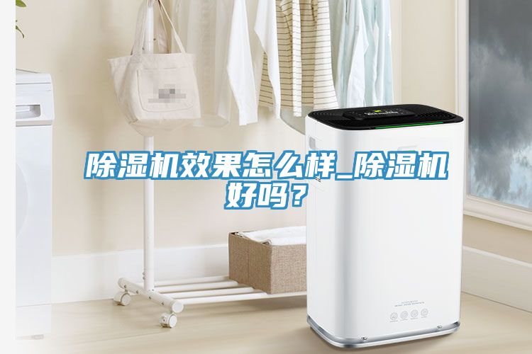 除濕機效果怎么樣_除濕機好嗎？