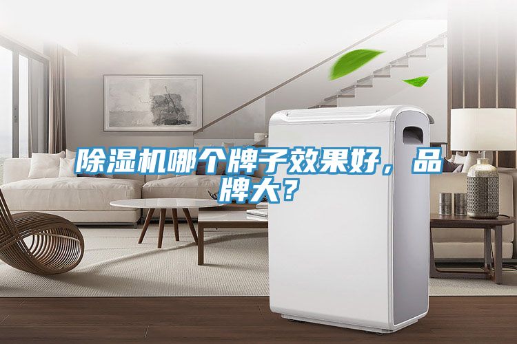 除濕機哪個(gè)牌子效果好，品牌大？
