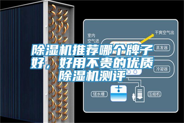 除濕機推薦哪個(gè)牌子好，好用不貴的優(yōu)質(zhì)除濕機測評