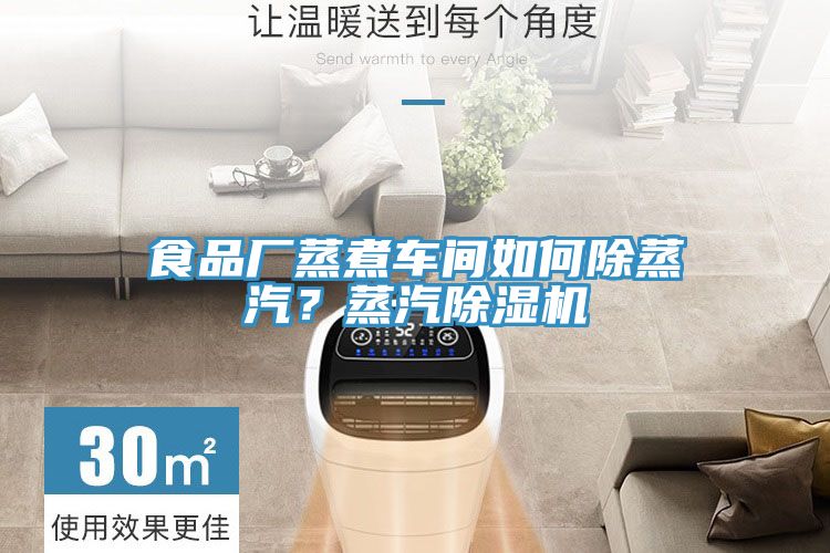 食品廠(chǎng)蒸煮車(chē)間如何除蒸汽？蒸汽除濕機