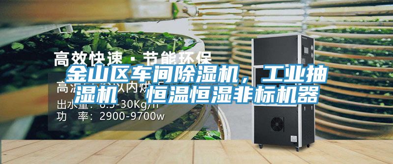 金山區車(chē)間除濕機，工業(yè)抽濕機  恒溫恒濕非標機器