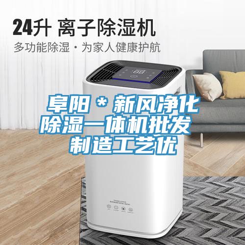 阜陽(yáng)＊新風(fēng)凈化除濕一體機批發(fā) 制造工藝優(yōu)