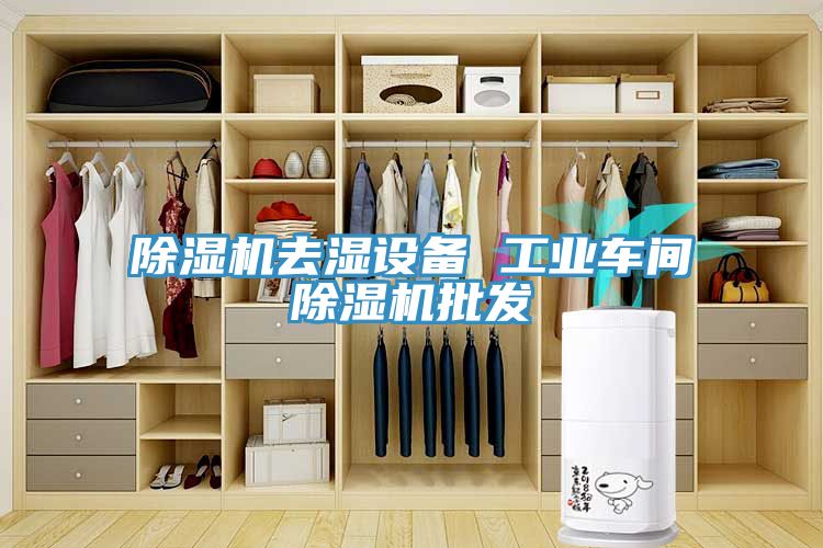 除濕機去濕設備 工業(yè)車(chē)間除濕機批發(fā)