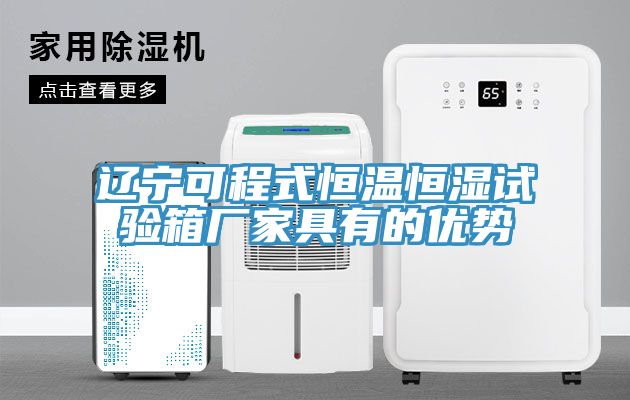 遼寧可程式恒溫恒濕試驗箱廠(chǎng)家具有的優(yōu)勢