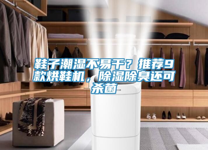 鞋子潮濕不易干？推薦9款烘鞋機，除濕除臭還可殺菌