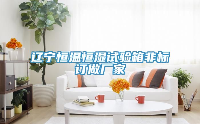 遼寧恒溫恒濕試驗箱非標訂做廠(chǎng)家
