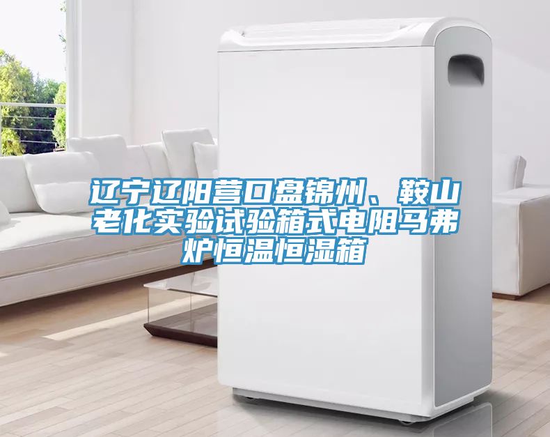遼寧遼陽(yáng)營(yíng)口盤(pán)錦州、鞍山老化實(shí)驗試驗箱式電阻馬弗爐恒溫恒濕箱