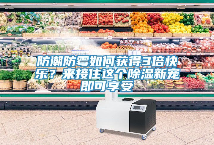 防潮防霉如何獲得3倍快樂(lè )？來(lái)接住這個(gè)除濕新寵即可享受