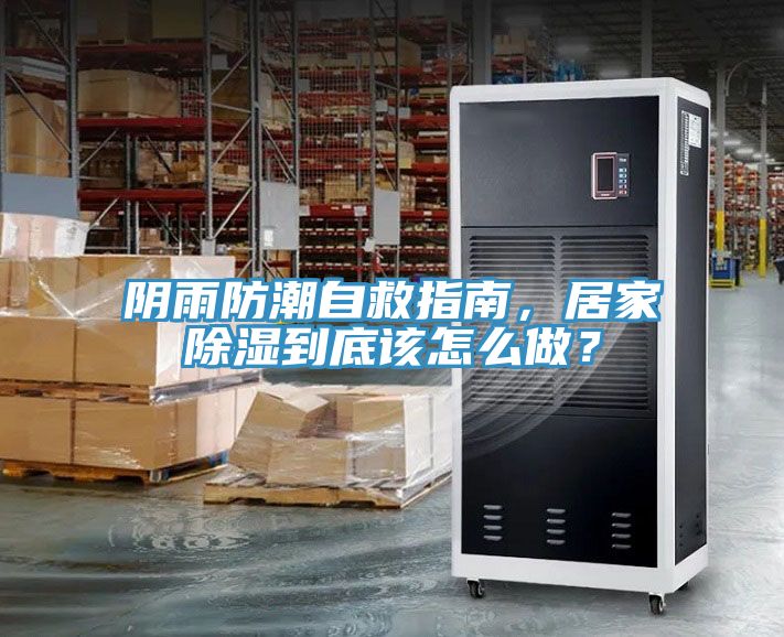 陰雨防潮自救指南，居家除濕到底該怎么做？