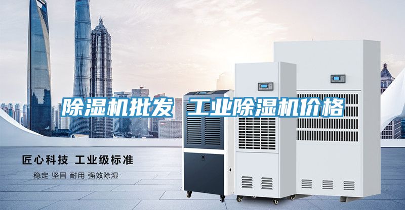 除濕機批發(fā) 工業(yè)除濕機價(jià)格