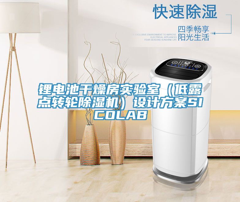 鋰電池干燥房實(shí)驗室（低露點(diǎn)轉輪除濕機）設計方案SICOLAB