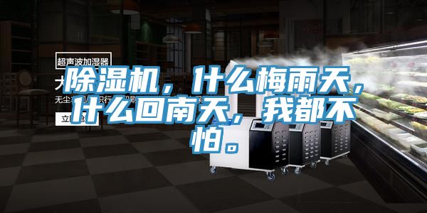 除濕機，什么梅雨天，什么回南天，我都不怕。