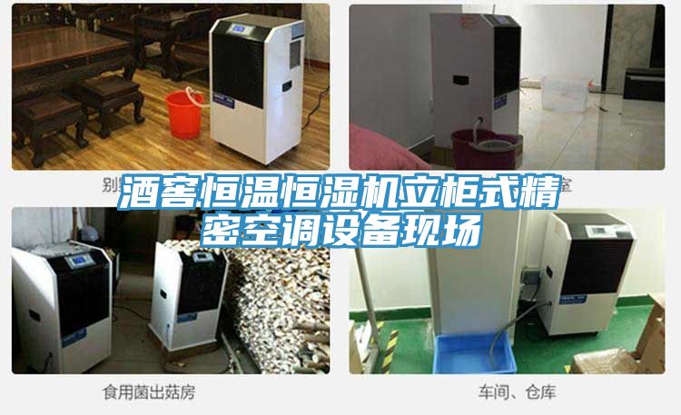 酒窖恒溫恒濕機立柜式精密空調設備現場(chǎng)