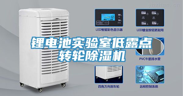 鋰電池實(shí)驗室低露點(diǎn)轉輪除濕機