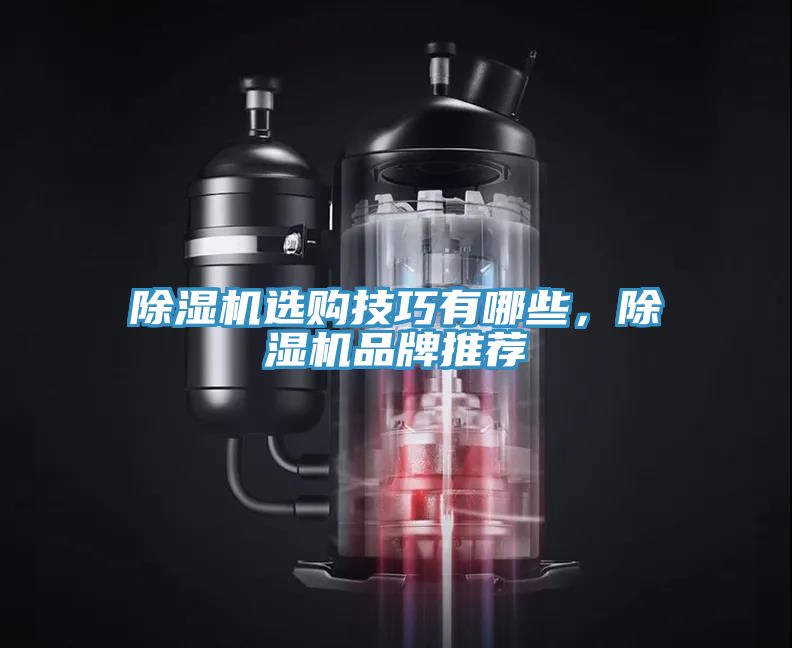 除濕機選購技巧有哪些，除濕機品牌推薦