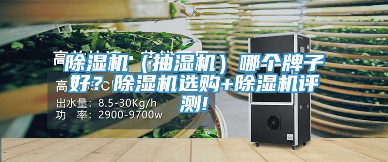 除濕機（抽濕機）哪個(gè)牌子好？除濕機選購+除濕機評測!