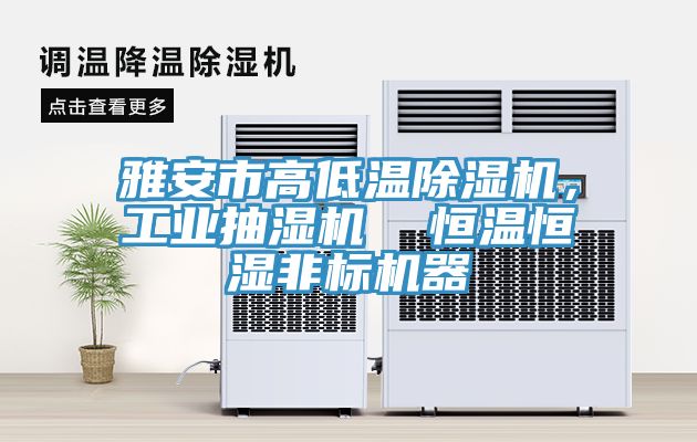 雅安市高低溫除濕機，工業(yè)抽濕機  恒溫恒濕非標機器