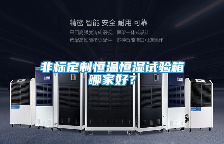 非標定制恒溫恒濕試驗箱哪家好？