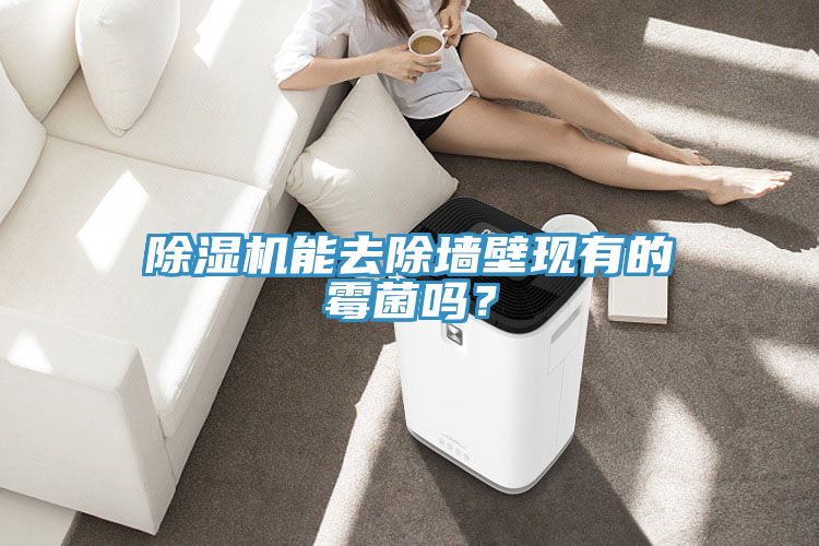 除濕機能去除墻壁現有的霉菌嗎？
