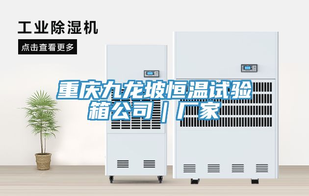 重慶九龍坡恒溫試驗箱公司｜廠(chǎng)家