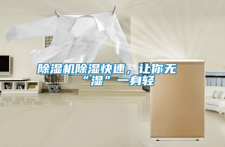 除濕機除濕快速，讓你無(wú)“濕”一身輕