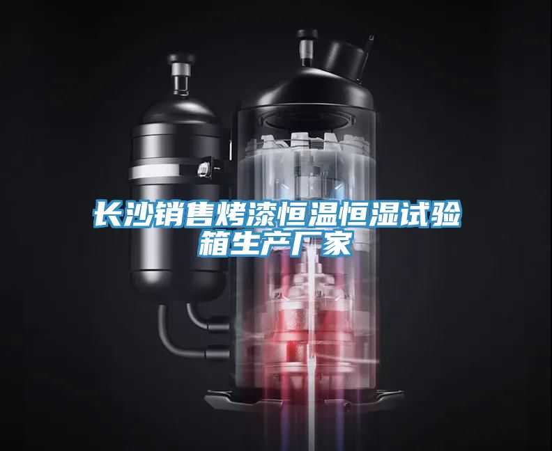 長(cháng)沙銷(xiāo)售烤漆恒溫恒濕試驗箱生產(chǎn)廠(chǎng)家