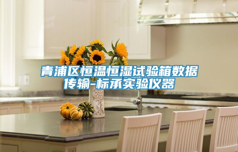 青浦區恒溫恒濕試驗箱數據傳輸-標承實(shí)驗儀器