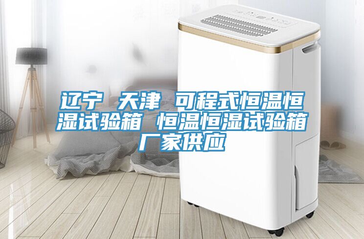 遼寧 天津 可程式恒溫恒濕試驗箱 恒溫恒濕試驗箱廠(chǎng)家供應