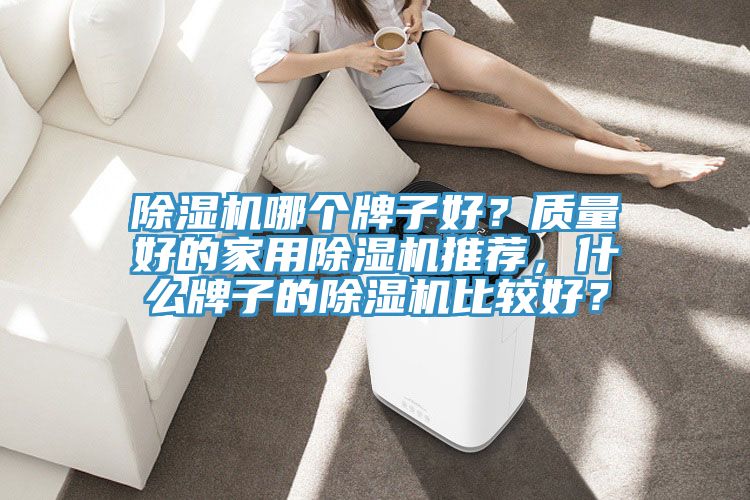 除濕機哪個(gè)牌子好？質(zhì)量好的家用除濕機推薦，什么牌子的除濕機比較好？