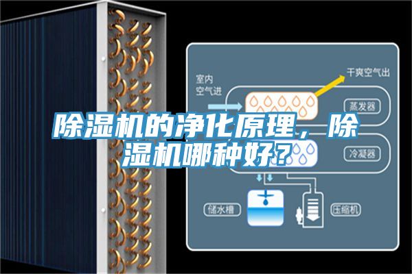 除濕機的凈化原理，除濕機哪種好？