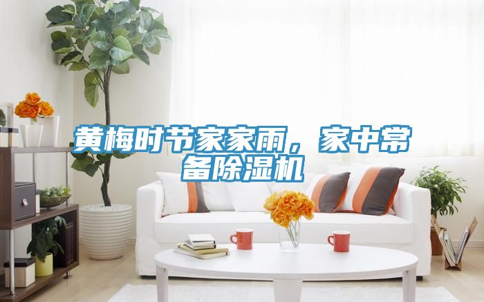 黃梅時(shí)節家家雨，家中常備除濕機