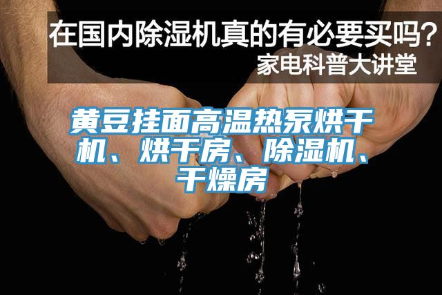 黃豆掛面高溫熱泵烘干機、烘干房、除濕機、干燥房