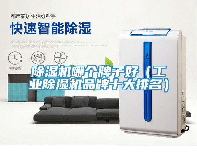 除濕機哪個(gè)牌子好（工業(yè)除濕機品牌十大排名）
