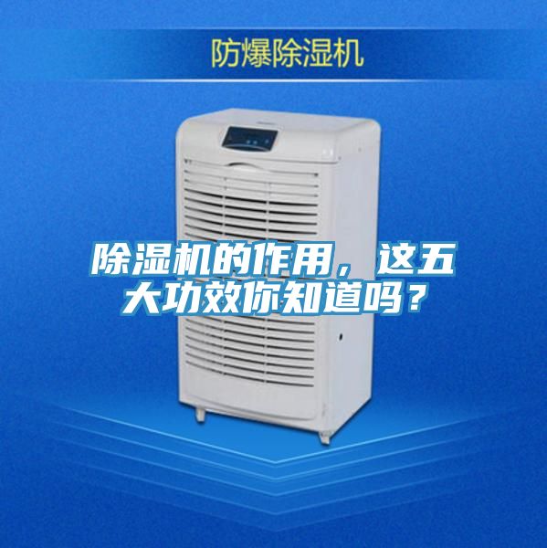 除濕機的作用，這五大功效你知道嗎？
