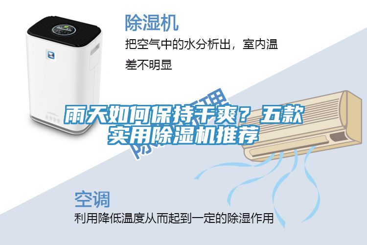 雨天如何保持干爽？五款實(shí)用除濕機推薦