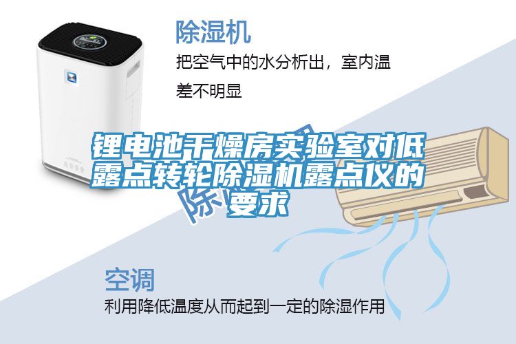 鋰電池干燥房實(shí)驗室對低露點(diǎn)轉輪除濕機露點(diǎn)儀的要求