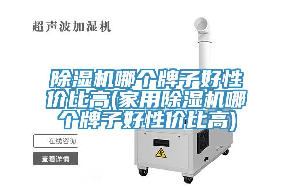 除濕機哪個(gè)牌子好性?xún)r(jià)比高(家用除濕機哪個(gè)牌子好性?xún)r(jià)比高)
