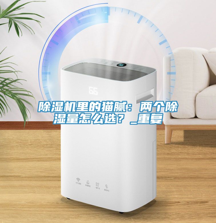 除濕機里的貓膩：兩個(gè)除濕量怎么選？_重復