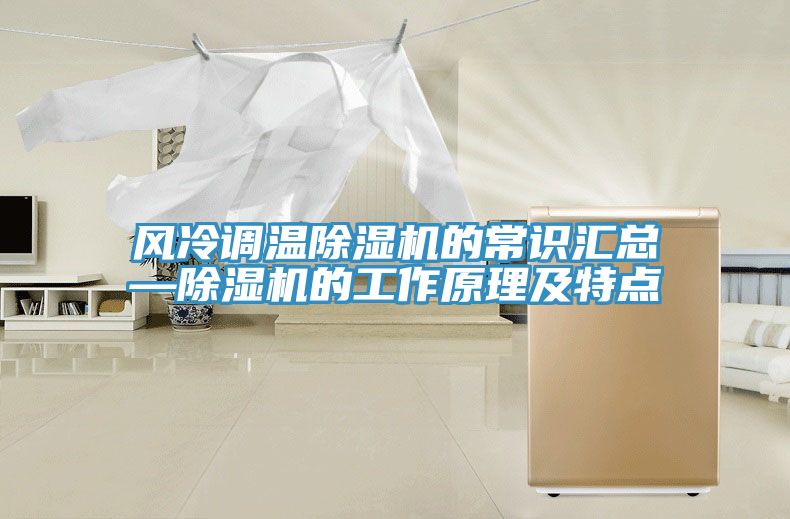 風(fēng)冷調溫除濕機的常識匯總—除濕機的工作原理及特點(diǎn)