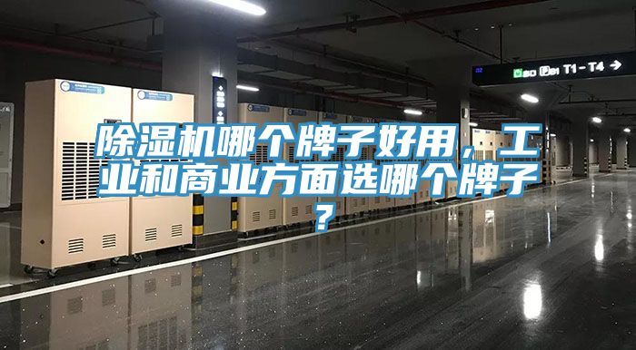 除濕機哪個(gè)牌子好用，工業(yè)和商業(yè)方面選哪個(gè)牌子？