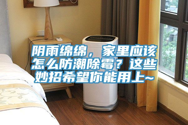 陰雨綿綿，家里應該怎么防潮除霉？這些妙招希望你能用上~
