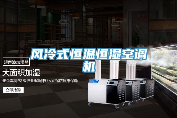 風(fēng)冷式恒溫恒濕空調機