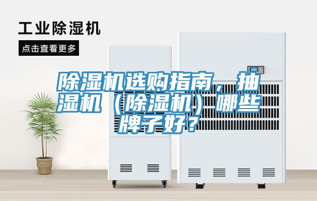 除濕機選購指南，抽濕機（除濕機）哪些牌子好？