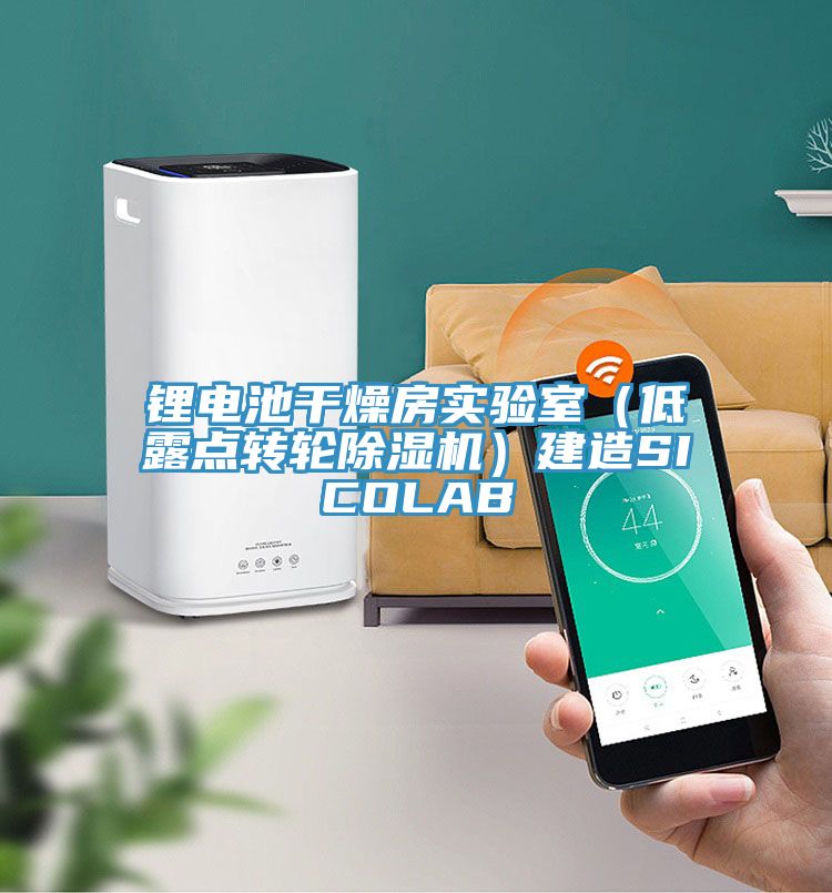 鋰電池干燥房實(shí)驗室（低露點(diǎn)轉輪除濕機）建造SICOLAB