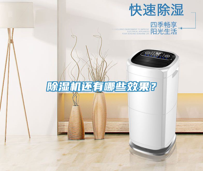 除濕機還有哪些效果？