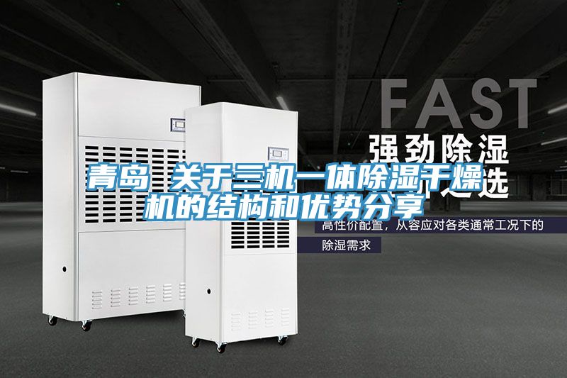 青島 關(guān)于三機一體除濕干燥機的結構和優(yōu)勢分享