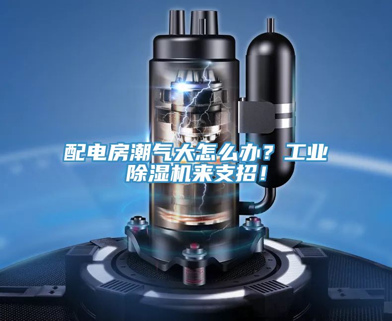 配電房潮氣大怎么辦？工業(yè)除濕機來(lái)支招！