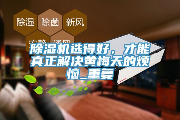 除濕機選得好，才能真正解決黃梅天的煩惱_重復